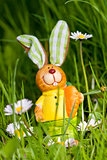 easter bunny outdoor in spring 