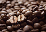Heap of Fragrant Roasted Brown Coffee Beans