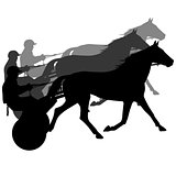 vector silhouette of horse and jockey