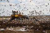 Landfill rubbish bulldozers processing garbage