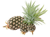 three of pineapple