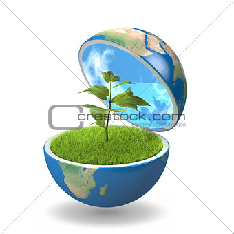 Plant inside planet