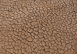 Dried Ground Texture