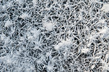 frost crystals