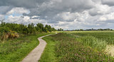 Bicycle path through dutch landscape