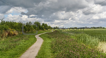 Bicycle path through dutch landscape
