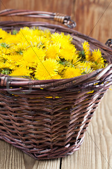 Dandelions in a basket