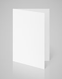 White blank folded flyer on gray