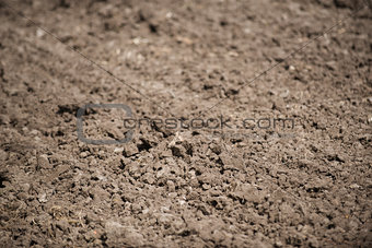  tilled soil
