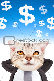 businessman and cat head thinking money