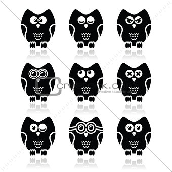 Owl cartoon character vector icons set