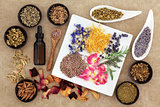 Magical and Medicinal Herbs