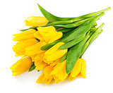 bouquet of yellow tulip flowers