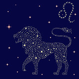 Zodiac sign Leo on the starry sky
