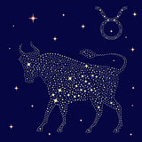 Zodiac sign Taurus on the starry sky