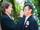 Gay Wedding - Let Him Eat Cake