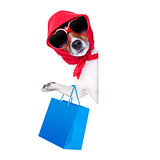 shopaholic shopping diva dog 