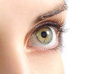 Close up of a beautiful woman green eye
