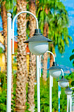 row of white streetlights and palm trees