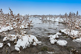 Comana Lake in winter