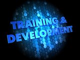 Training and Development on Digital Background.