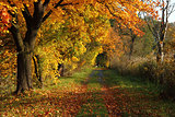 czech color autumn country 