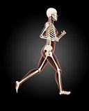 Running female medical skeleton