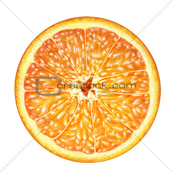 juicy orange cross section , transection of orange on white background , fruits