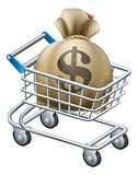Money shopping cart trolley