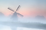 windmill in dense fog at summer sunrise