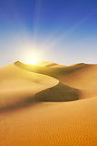 Gold desert. Sunny day.