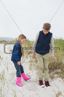 Full length of siblings at beach