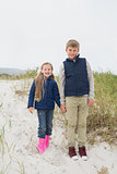 Happy siblings standing hand in hand at beach