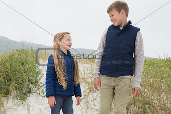 Happy brother and sister at beach