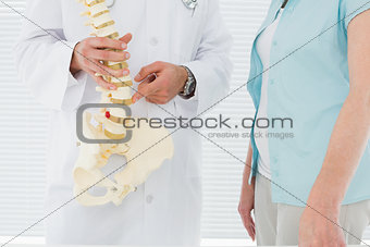 Mid section of a doctor explaining the spine to patient