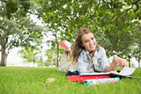 Cheerful young student studying on the grass