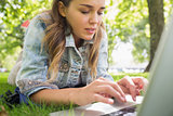 Young focused student lying on the grass using her laptop