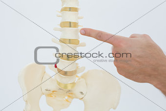 Extreme close-up of a finger pointing at skeleton model