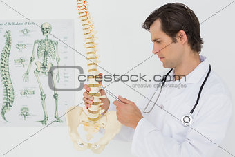 Serious male doctor looking at skeleton model