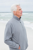 Contemplative casual senior man at beach