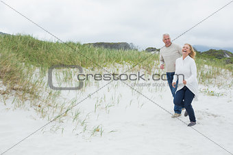 Cheerful senior couple walking at beach