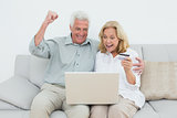 Cheerful senior couple doing online shopping on sofa