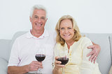 Senior couple with wine glasses at home