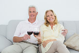 Senior couple toasting wine glasses at home