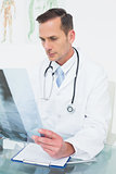 Concentrated male doctor looking at x-ray picture