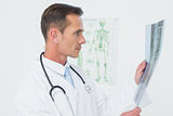 Concentrated male doctor looking at spine x-ray
