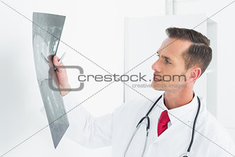 Concentrated male doctor examining x-ray