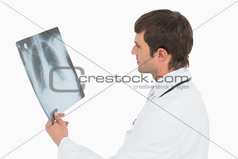 Concentrated male doctor looking at x-ray picture of lungs
