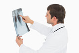 Concentrated male doctor looking at x-ray picture of lungs