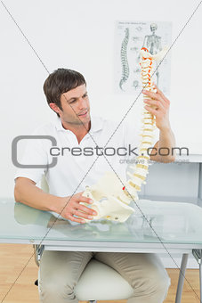 Male doctor holding skeleton model